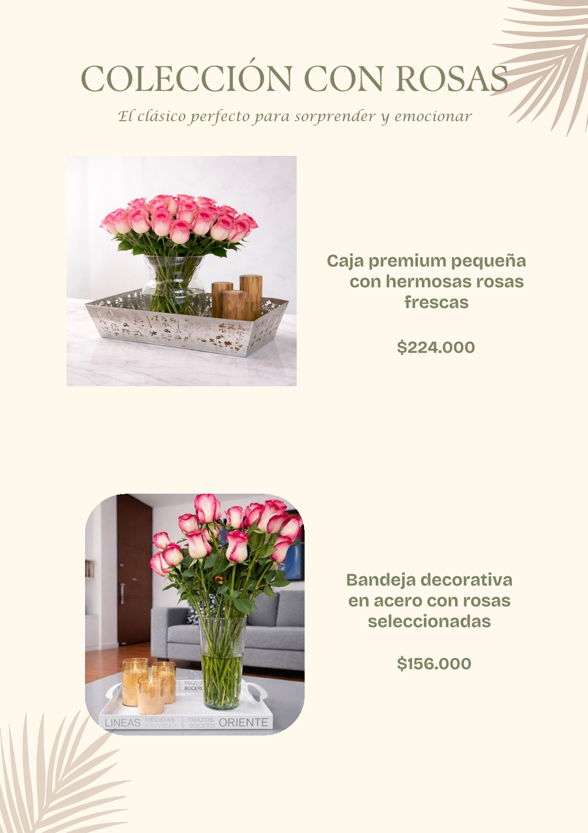 Portafolio Image 3